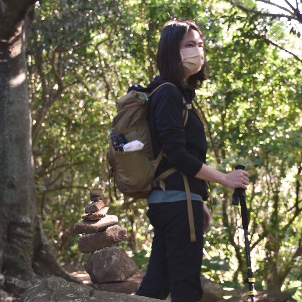 台北大縱走第一段 關渡-忠義山-貴子坑-面天坪-二子坪封面圖