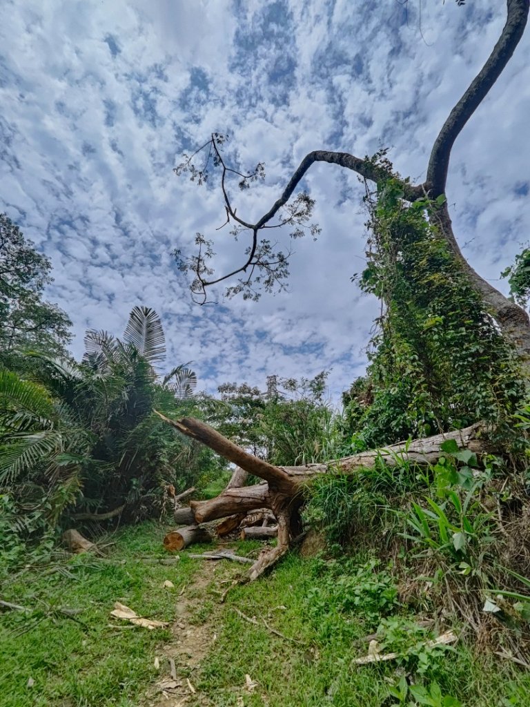 #64小百岳崁頭山、獅額山_2528564
