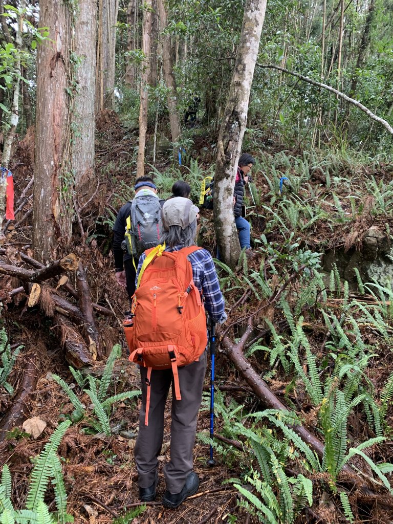 20251220嘉義凸龜山-芙蓉山-天福山_2973782