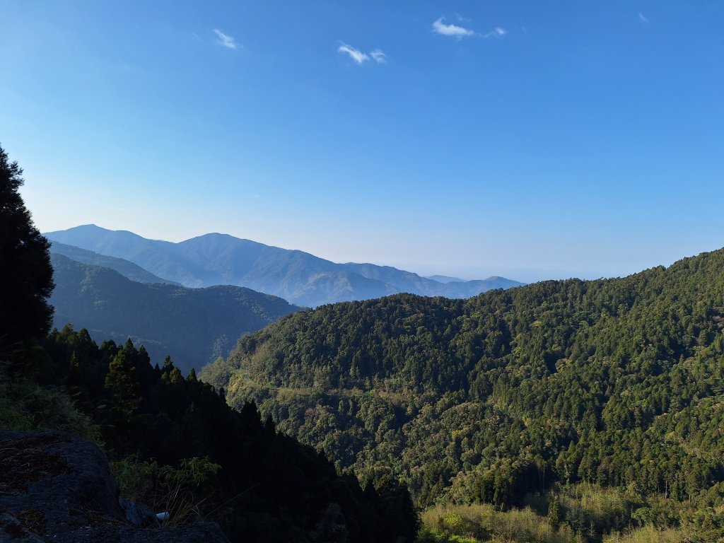 二萬坪山+屏遮那山+二萬坪神木區_2439908