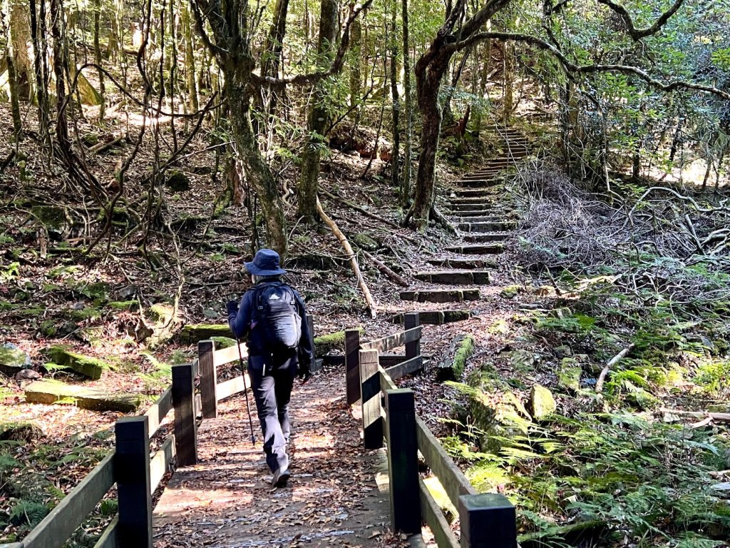 船型山環走大雪山210林道_2978025