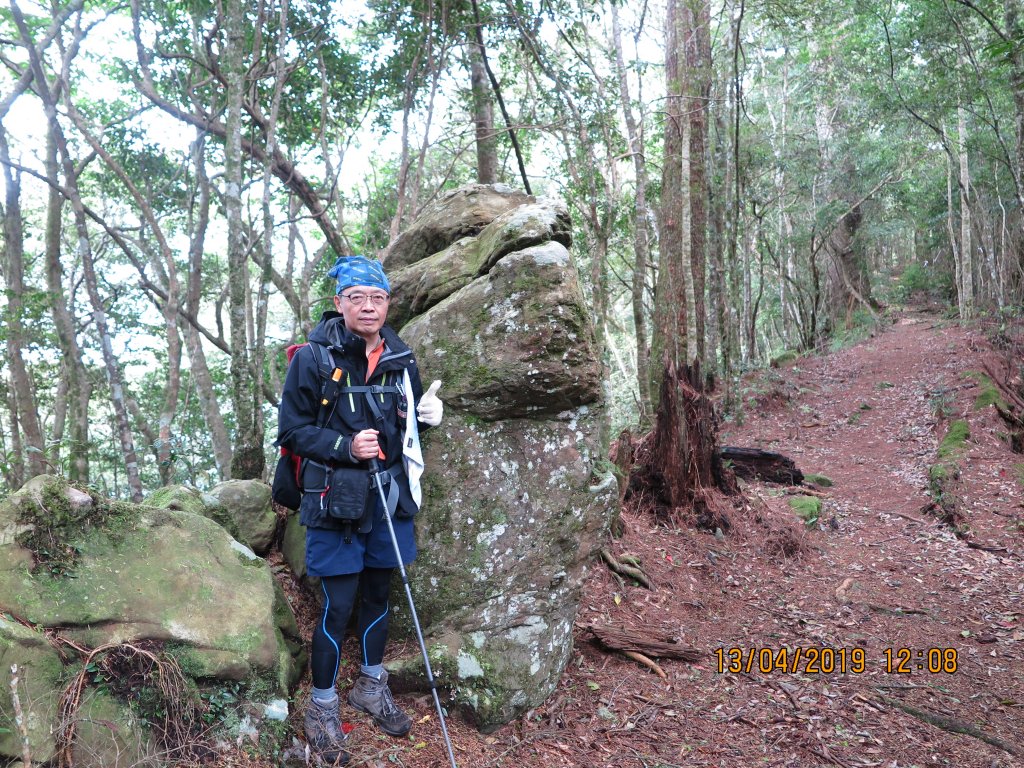 屯野生台山與石麻達山連走_566457