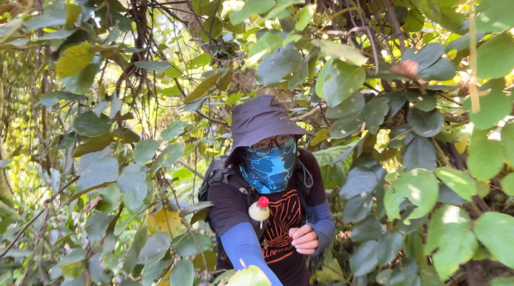 九份二山_2597570