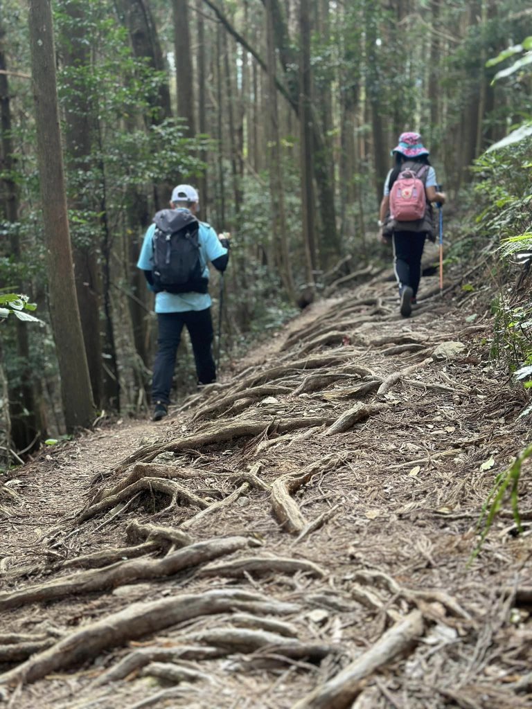 20231112新竹高台山_2354499