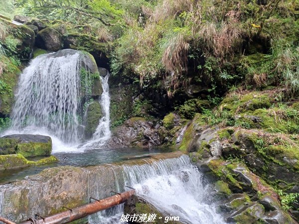 【嘉義縣阿里山鄉】避暑山林芬多精。 石山引水道步道、鹿林前山瀑布封面圖