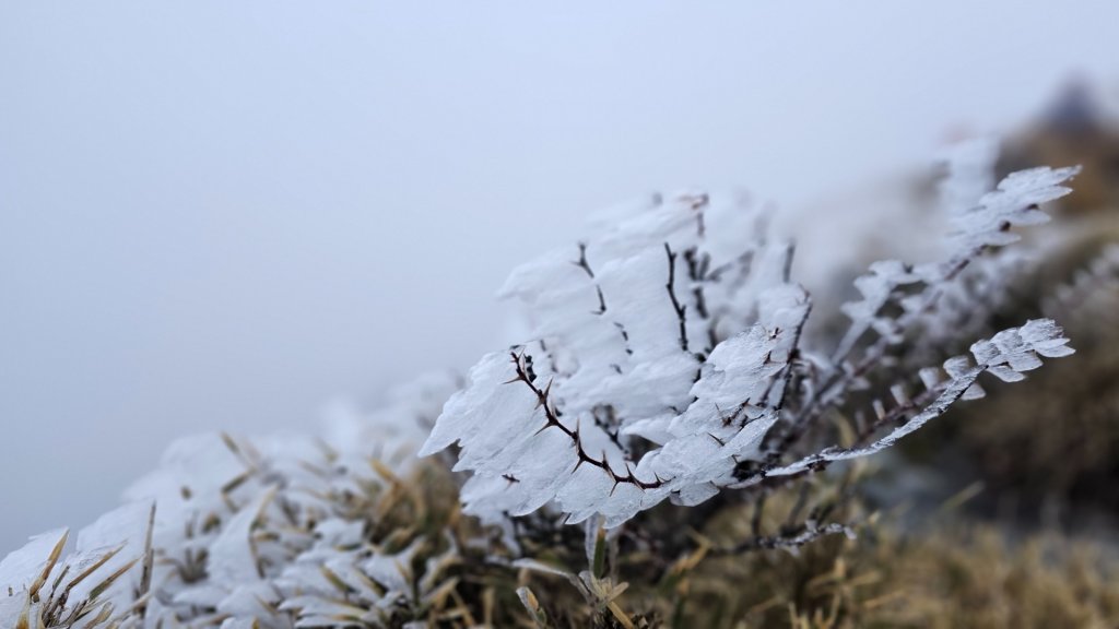 112.3.13～3.14 冰封奇萊主北_2073895