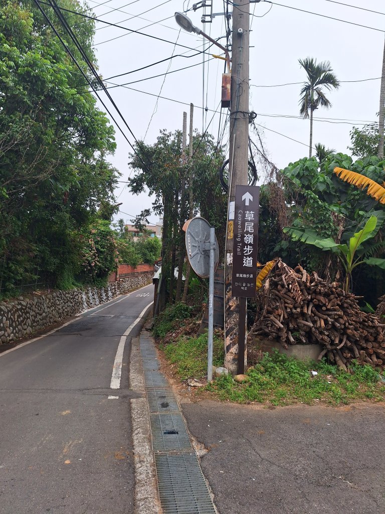 草尾嶺步道賞血藤花20250329_2749668