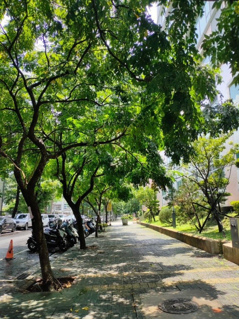 ［健康大穀東］（27~28）：天母運動公園+美崙公園（2023/8/11）_2253686