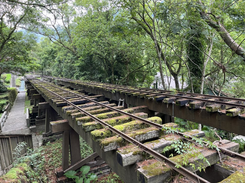 [全臺走路趣尋寶-35/100] 2024_0810_林田山林業文化園區步道封面圖