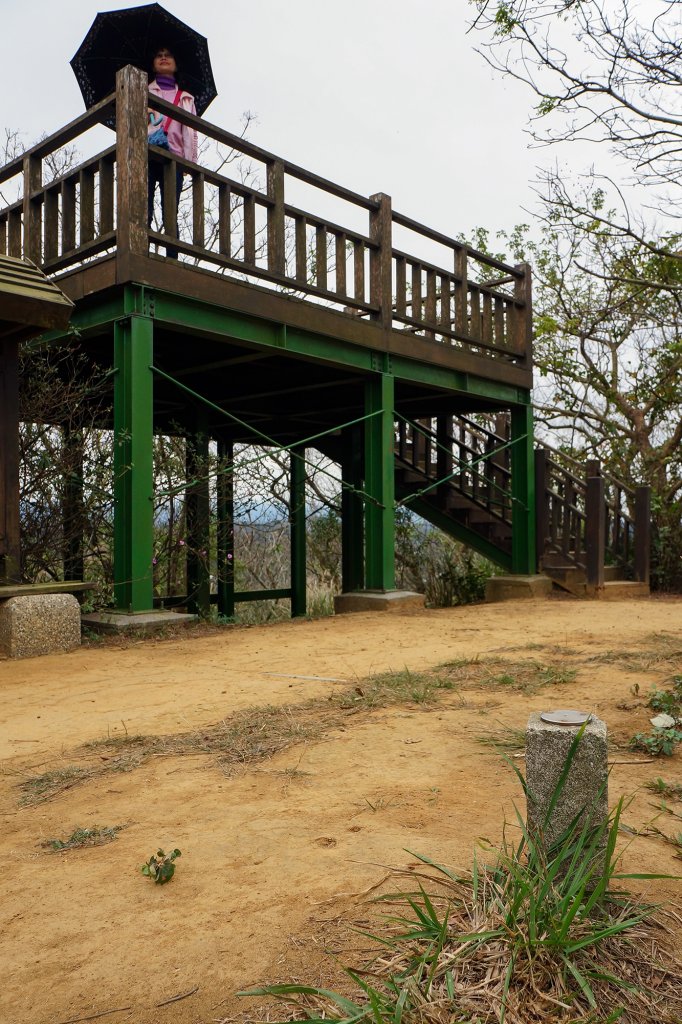 苗栗造橋口山古道_595031