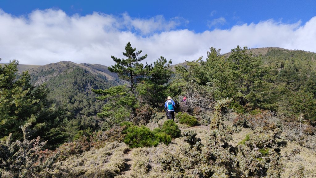布拉克桑山單攻O繞嘉明湖戒茂斯山 2024年12月8日_2667041