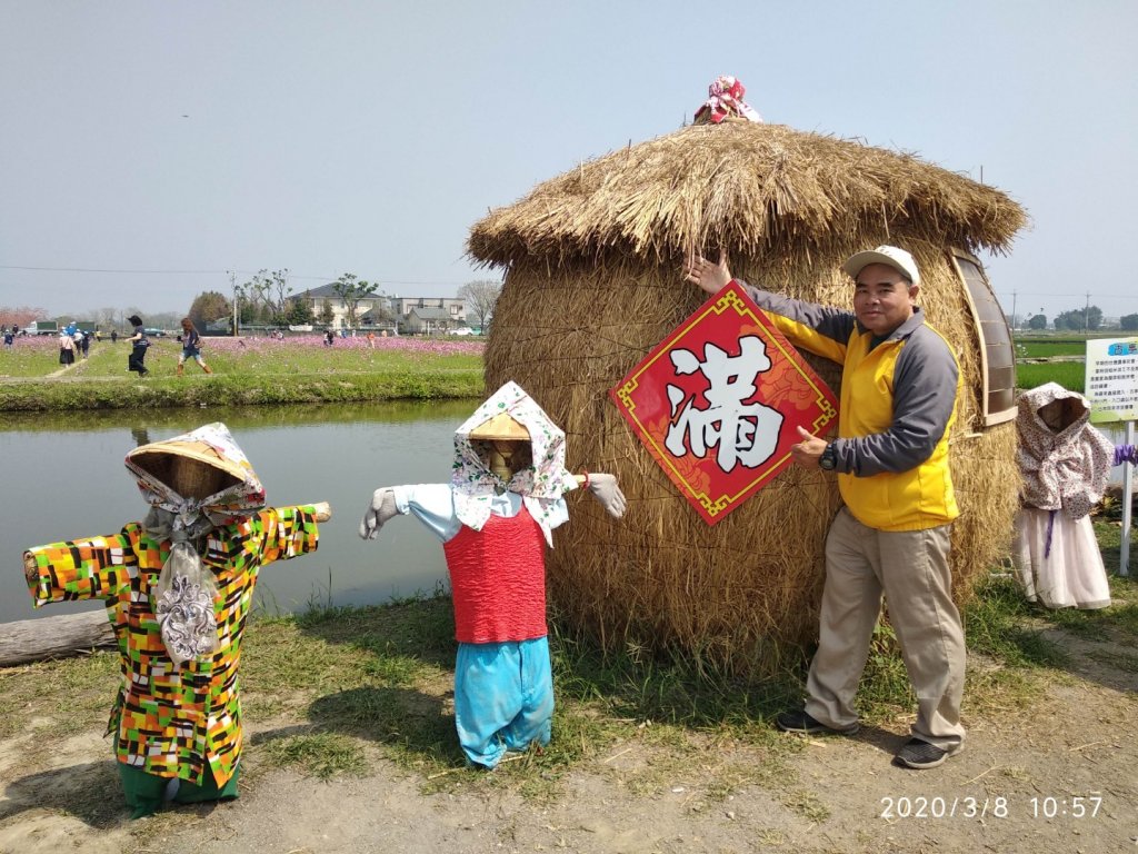 林初埤木棉花_871418