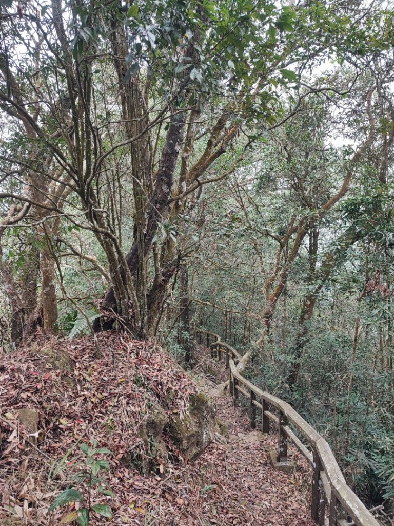 九份二山-小百岳#47-南投縣國姓鄉_2471131