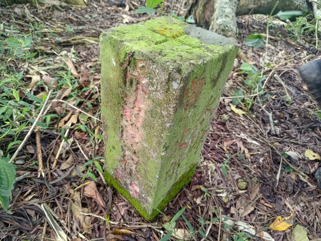 烏山山系北北段六阿縱走_2649492