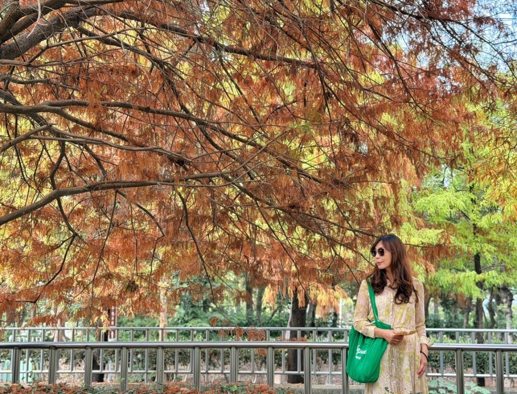 龍過脈森林步道_2960924