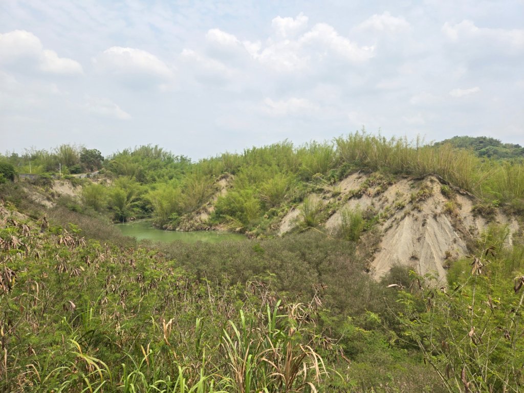 2025-04-07 左鎮後坑古道（牛港嶺）_2757649