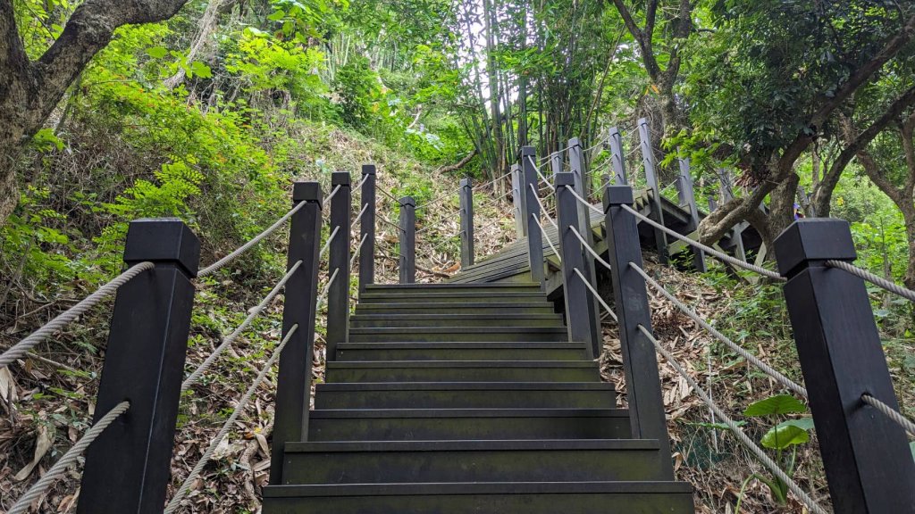 大坑九號、十號步道_2512462
