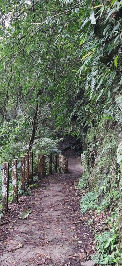 南坪古道，馬胎古道_1619863