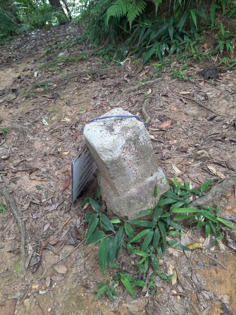 20230715 白雞三山 (鹿窟尖山-雞罩山-白雞山)，高CP好吃的食三麵屋_2219384