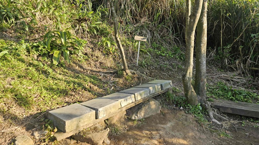 20260115基隆山主東峰_2982649