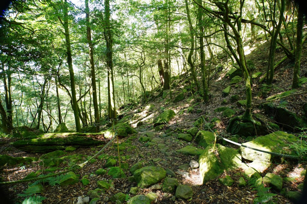 台中 和平 鳶嘴山_2926900
