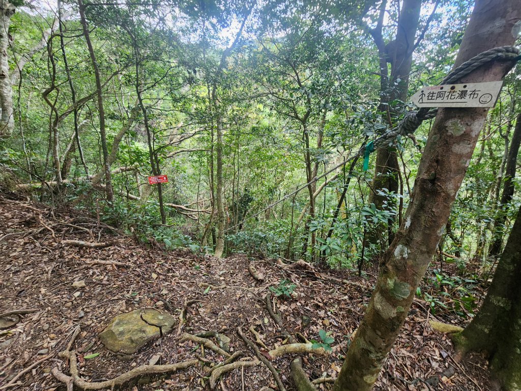 20250302樂佩山_2754724