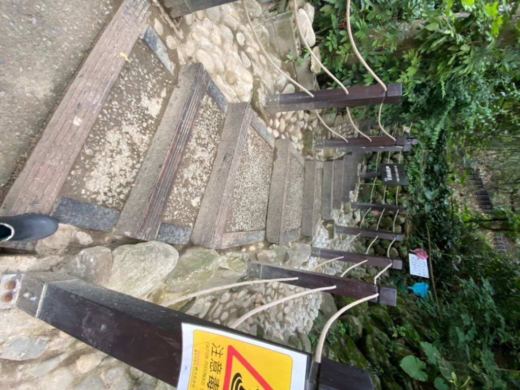 大坑9-10號（傍晚到夜晚）_1926482