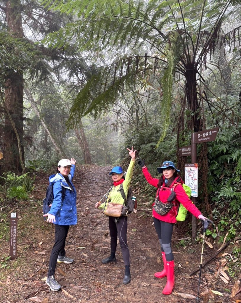 小百岳馬那邦山(H1407m)加碼採草莓_2694698