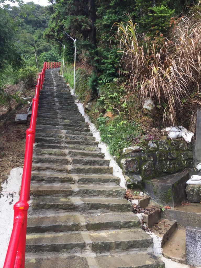 2018/06/20 獅潭仙山步道_354849