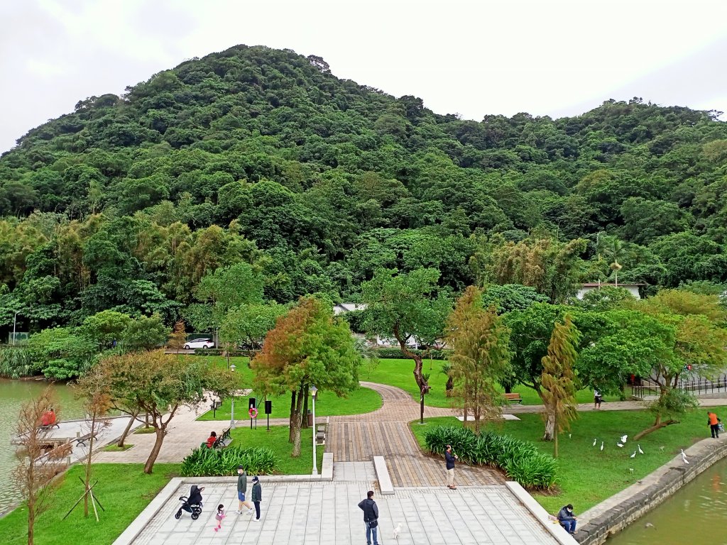 大湖公園 (防災公園)【走路趣尋寶】_1899861