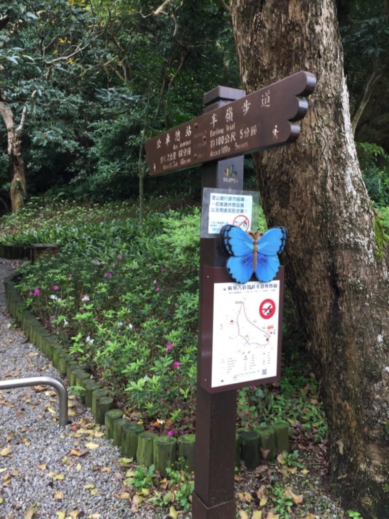 坐捷運去爬山-3橫嶺古道～紗帽山⋯軍艦岩_544585