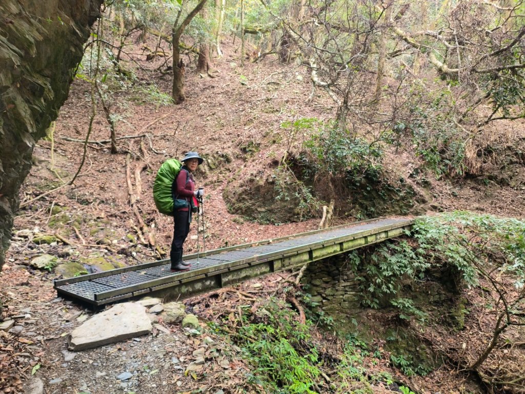 20240316 馬博8天縱走~第一天，東埔登山口到觀高工作站_2470726