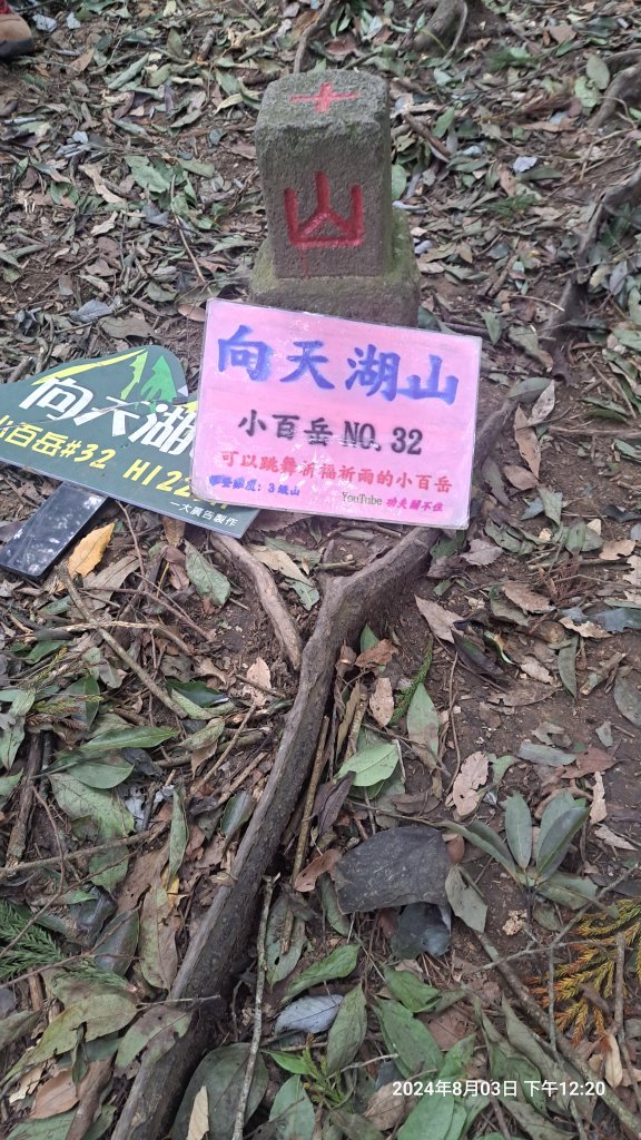 2024.8.3  (苗栗南庄)三角湖山+向天湖山_2573930