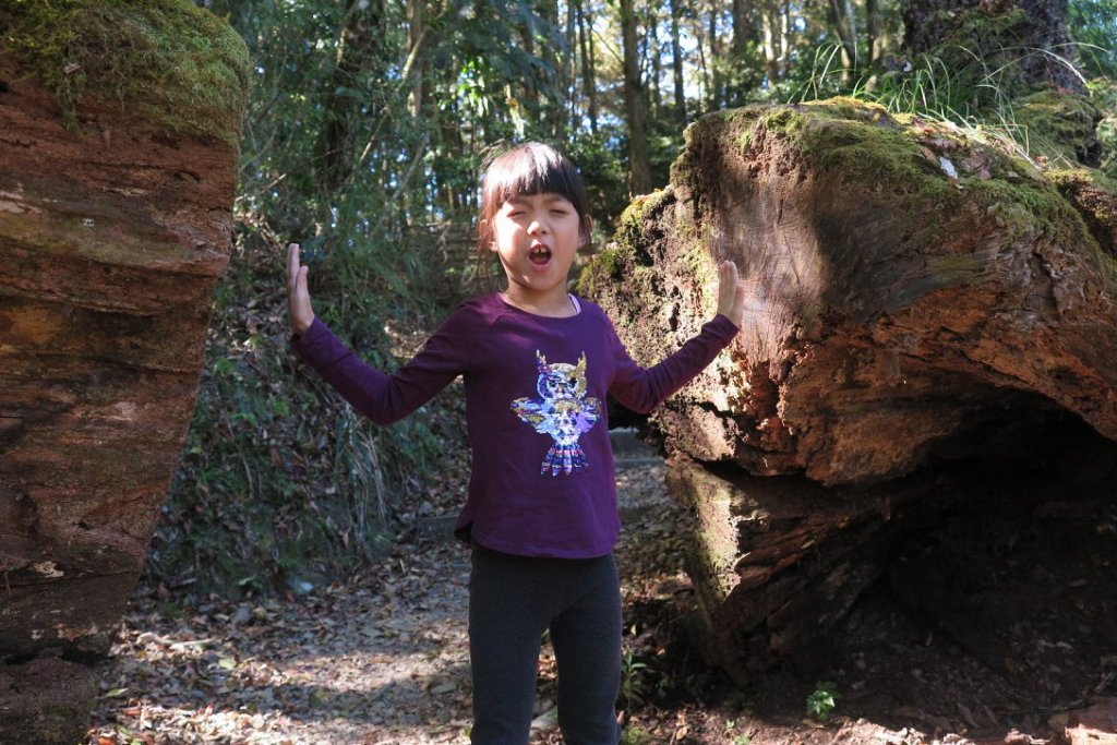 稍來楓情（小白岳）_752850