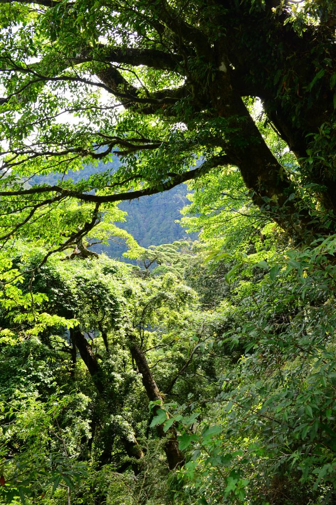 合歡溪步道～～讓人屏息驚艷的靖藍溪流步道_1020473