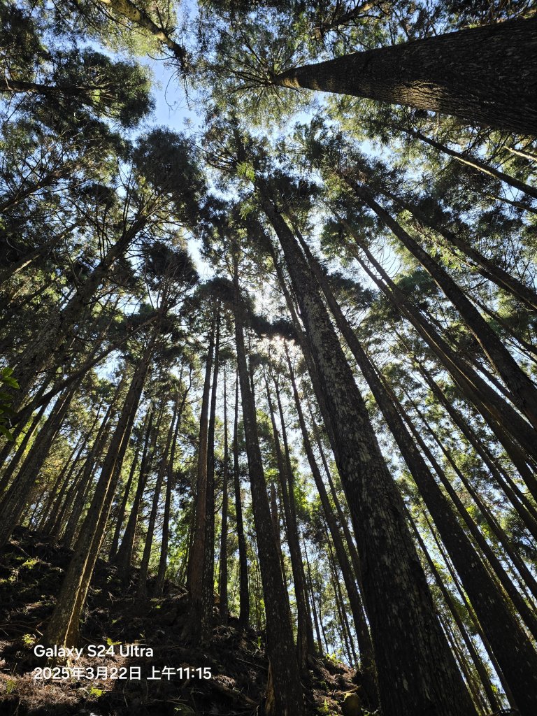 2025-03-22油羅山步道_2743412