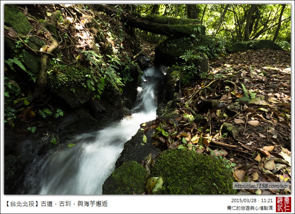 猴崁水圳古道_16361