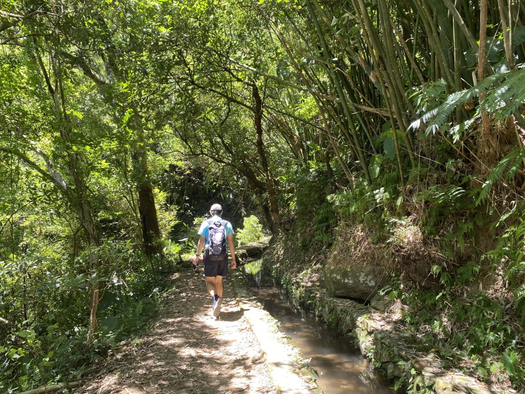 《探訪內雙溪三圳流向｜大崎頭步道 × 鵝尾山》封面圖