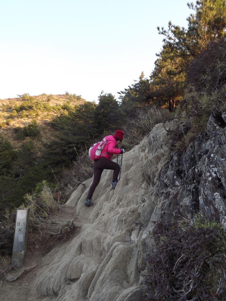 20180405 合歡北峰_304970