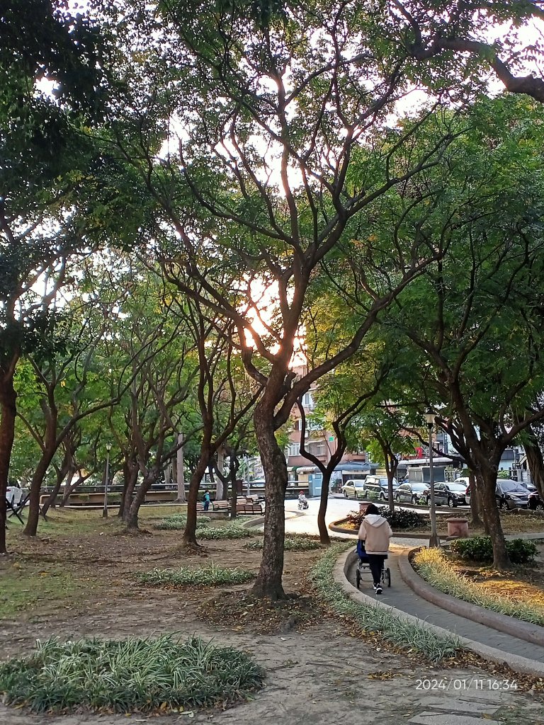 內湖碧湖公園、大港墘公園、宏匯瑞光廣場、文德三號公園、瑞陽公園_2400387