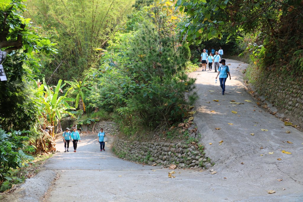 健身公益齊步走。萬豐環山步道_780286