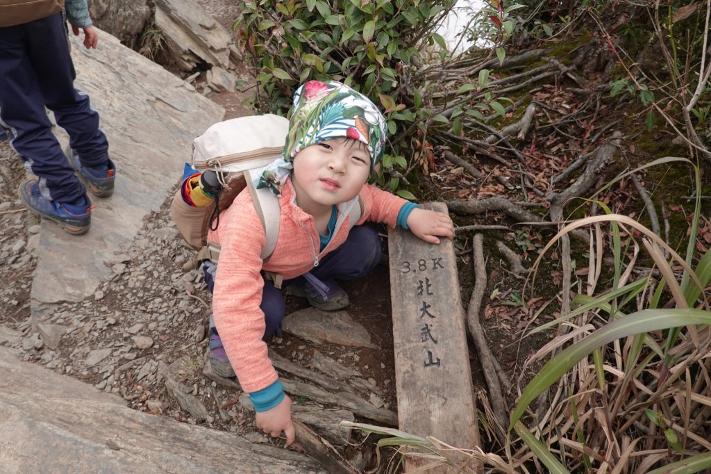 阿興阿賢北大武山_870755