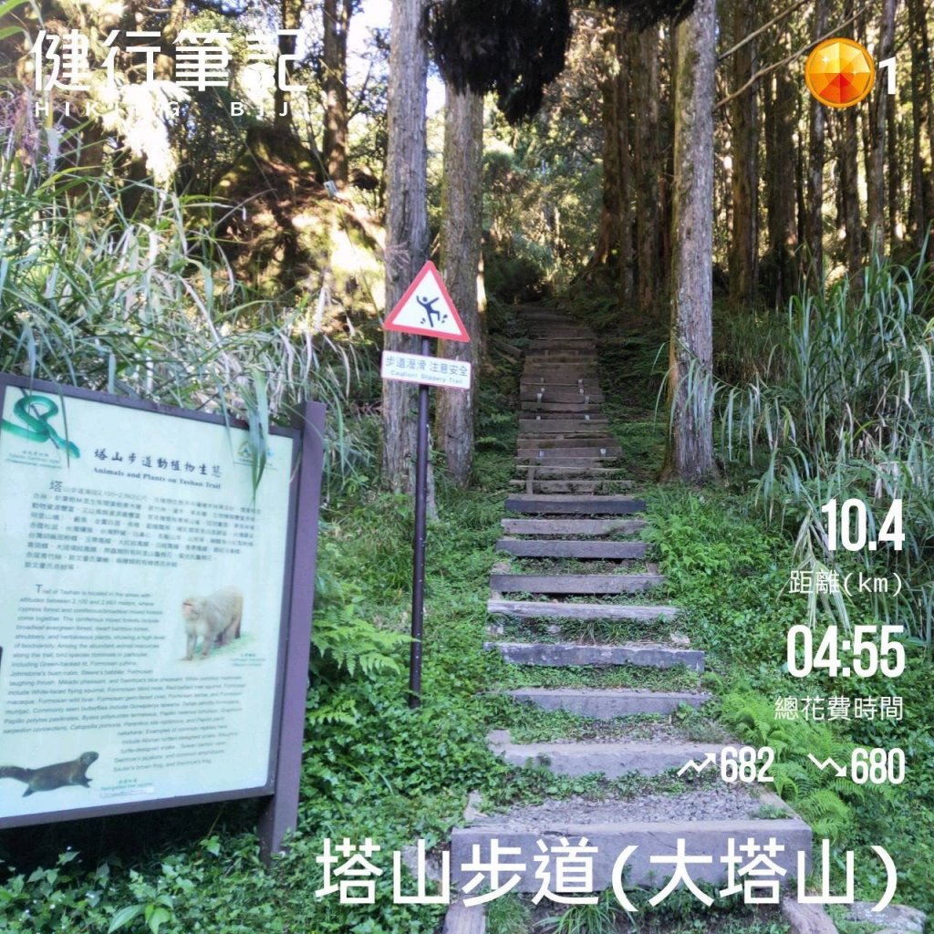 小百岳(59)-大塔山-20220925_1878581