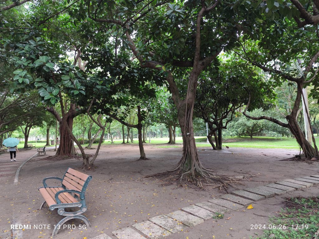 大安森林公園【走路趣尋寶】【臺北健走趣】_2536307
