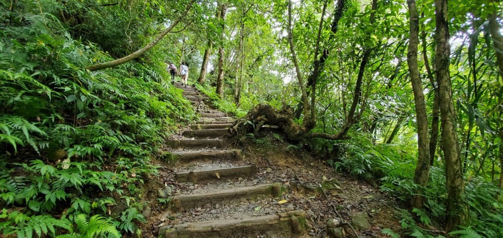 2021-09/19-宜蘭礁溪- 抹茶山三角崙山_1466408