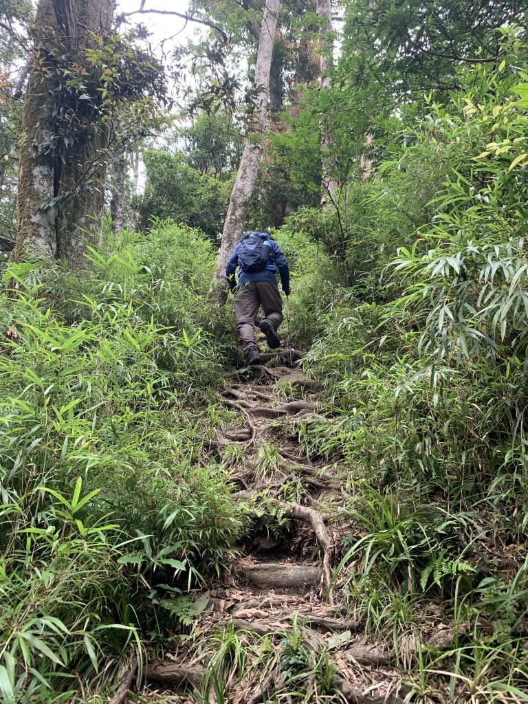山上人家→鵝公髻山 原路折返_689327
