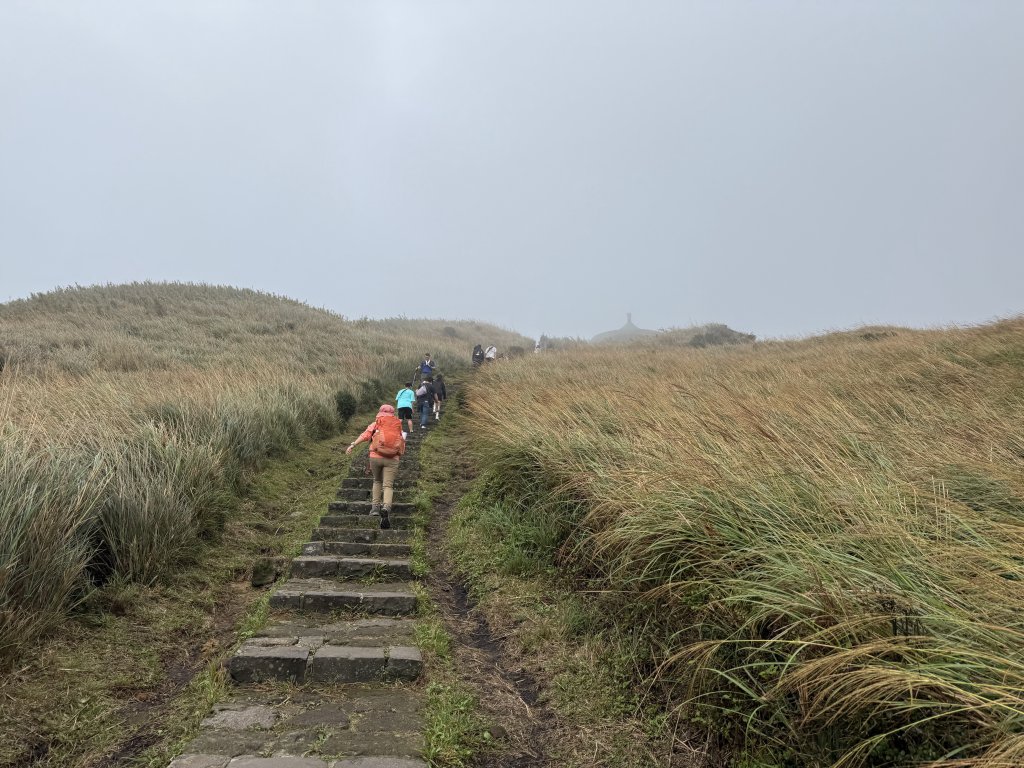 七星山 冷水坑上小油坑下環七星山人車分道O繞 20251108_2934885