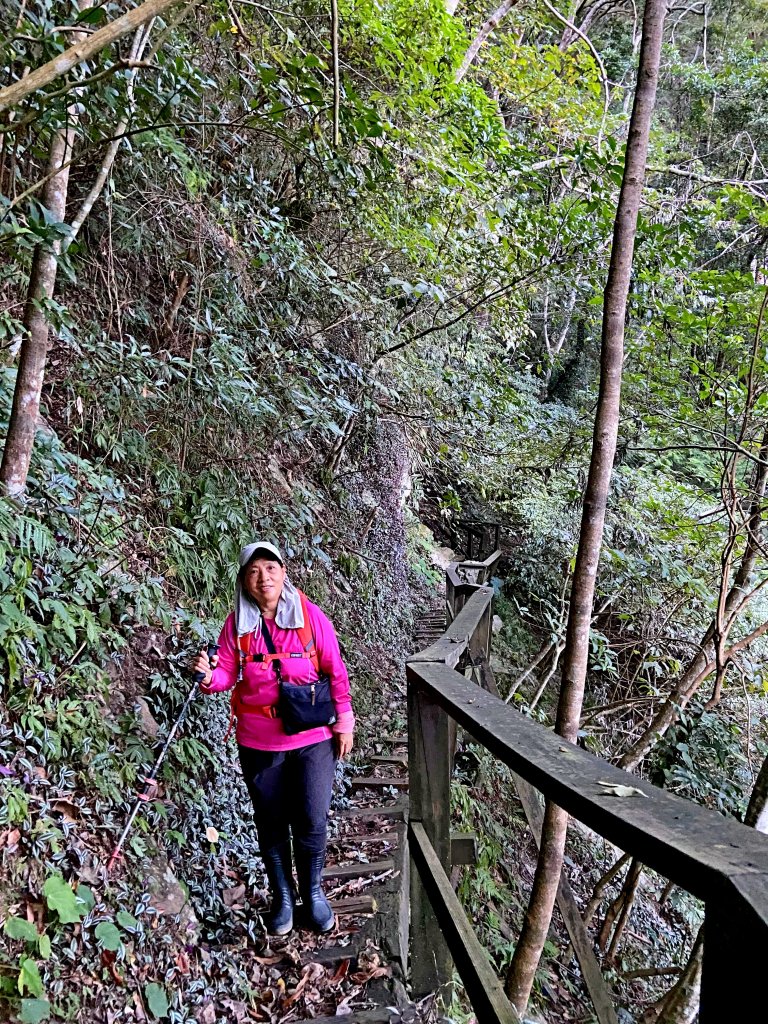 八仙山駐在所、東八仙山、八仙山O型走  _1133207