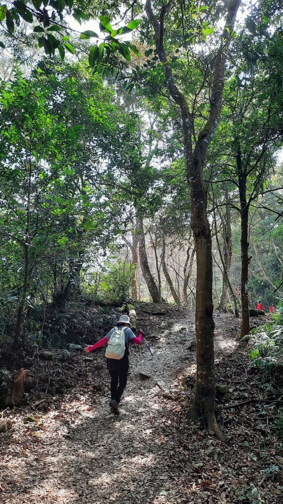 《苗栗》馬那邦山｜ 上湖線＞天然湖O巡20210220_1277348