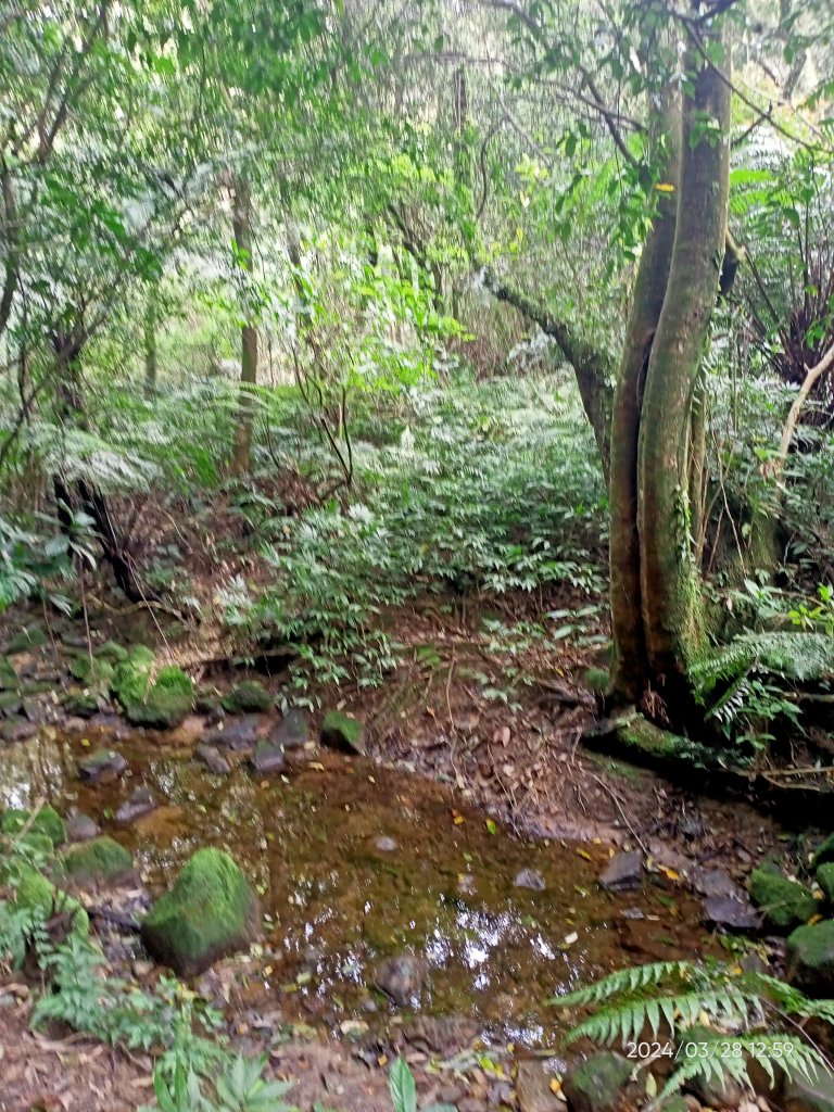 【臺北大縱走4】風櫃嘴→雙溪溝古道→五指山古道→大崙頭山北面步道→許願步道→圓覺寺步道→大溝溪→大湖_2469080